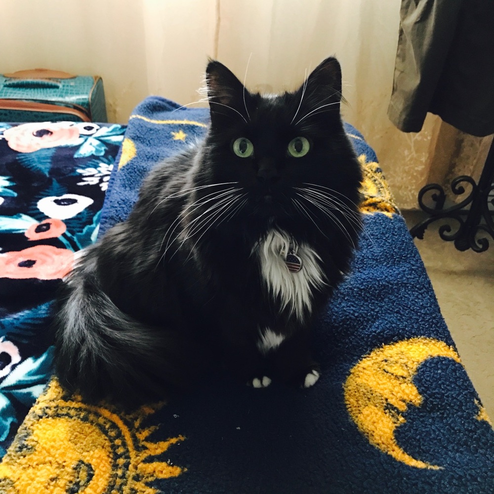 Meet your Posher, Lauren